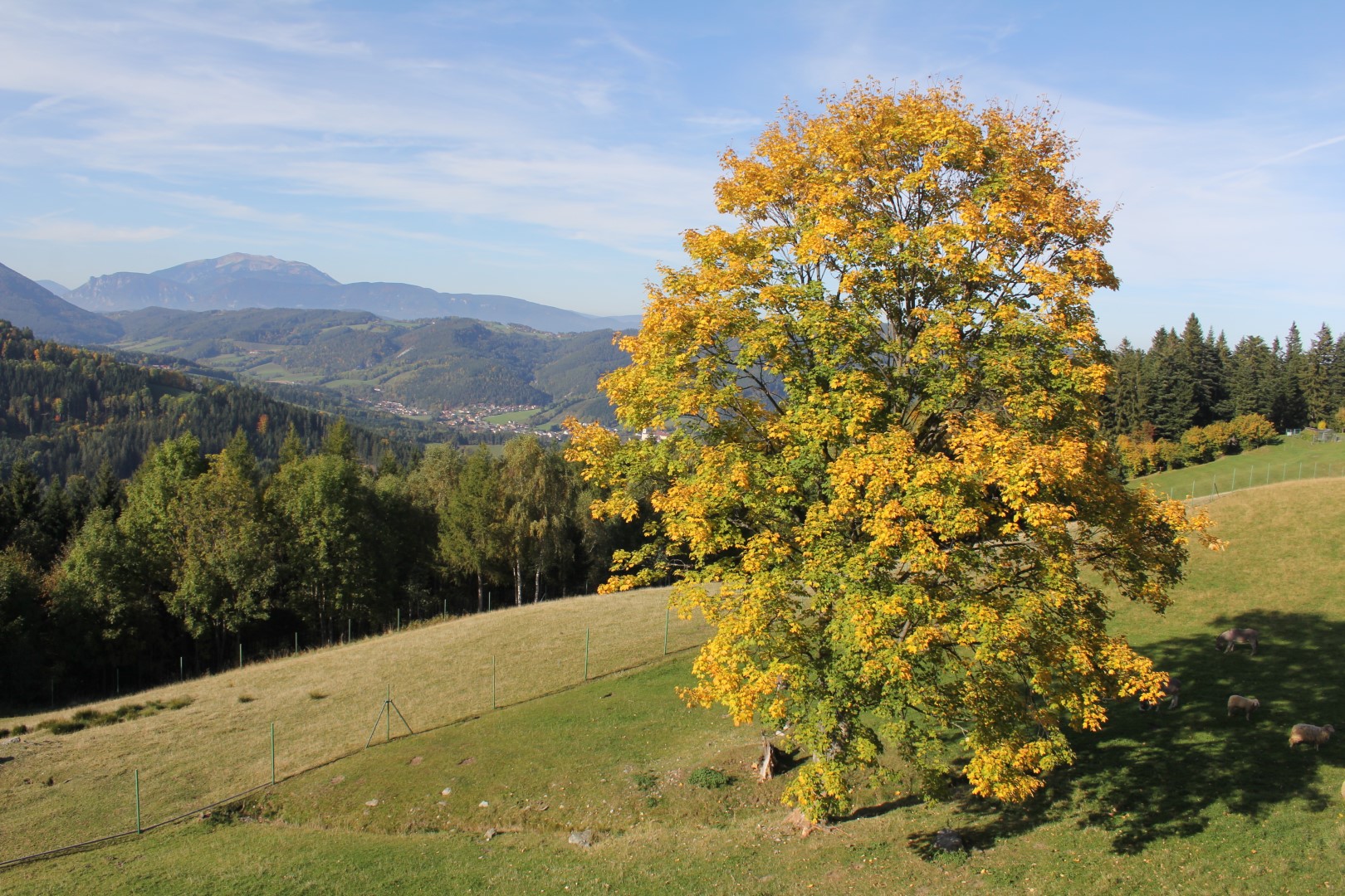 2019-10-13 Herbstausfahrt denhof